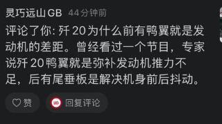 歼-20的鸭翼暴露出发动机推力不足的“短板”？