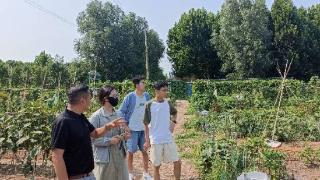 “济水之南”乡愁浓 北京林业大学暑期社会实践团队走进槐荫掠影