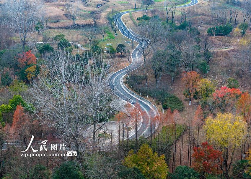 江苏淮安：古淮河国家湿地公园冬韵浓