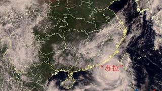海南启动台风四级预警、海上防台风Ⅳ级应急响应