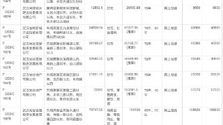 武汉底价成交22宗地块：14宗宅地成交额逾60亿元