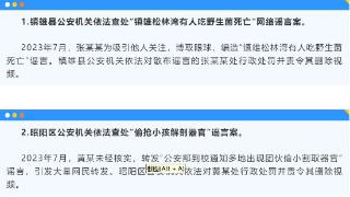云南昭通公开曝光10起网络谣言警示案例