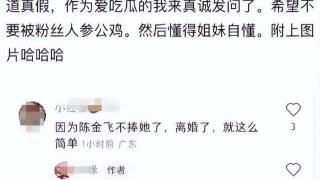 曝杨采钰陈金飞已离婚，男方不再为其提供资源，刘亦菲无辜躺枪