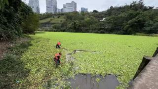 渝北区悦来街道：全面开展河流“清漂”保水质行动