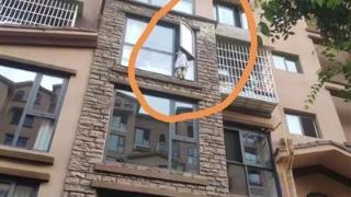 5岁小女孩悬身4楼窗外 邻居大叔徒手爬楼救下“这只是举手之劳