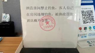 杭州一酒店房间能钓千岛湖的鱼 工作人员：禁渔期抓到要被罚