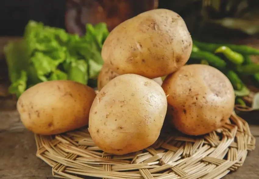 市面上的土豆越来越大是用了膨大剂吗，对身体有害吗?告诉你答案