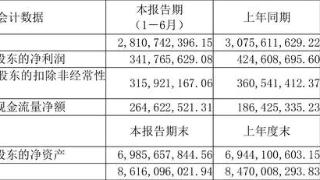 华熙生物发布半年报，难挽营收、净利润双双下降颓势