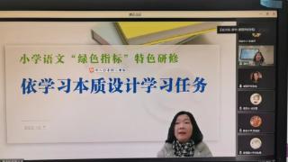 民办扬波外国语小学：迈入而立，向新而生