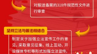 一图速览丨2024年河南省人大常委会工作报告