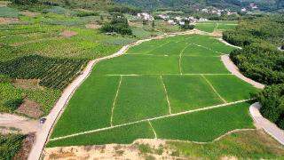 广西柳州首次实现耕地“净流入”