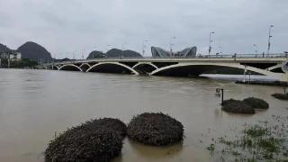 强降雨影响广西多条河流出现超警洪水