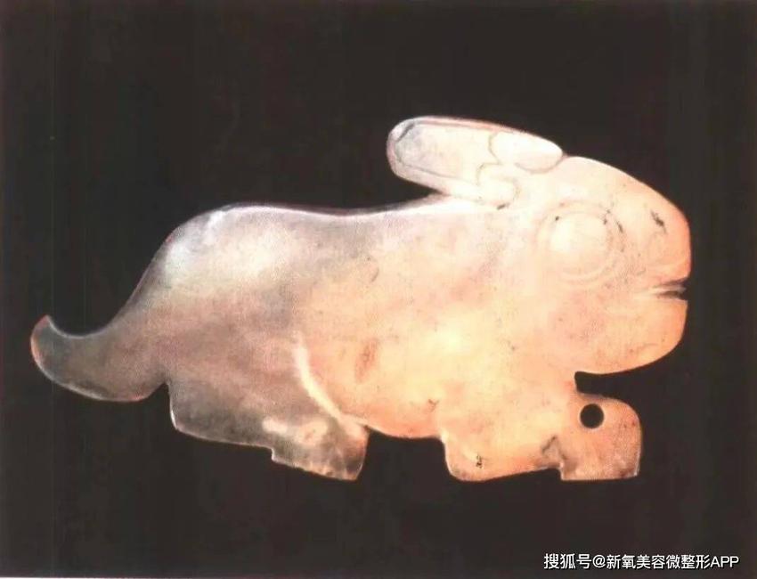 中国人的兔纹审美：兔子陪伴人类竟然已经3w多年了？