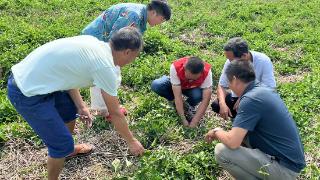 臧必亮：种完粮食“种文明”的农家人