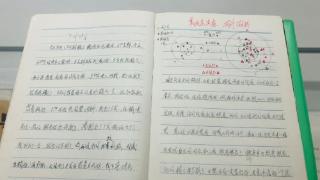追光 | 40年前夺得中国奥运首金的许海峰，写下了这篇日记