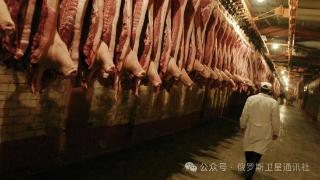 俄罗斯向中国供应首批猪肉，价值67.7万美元