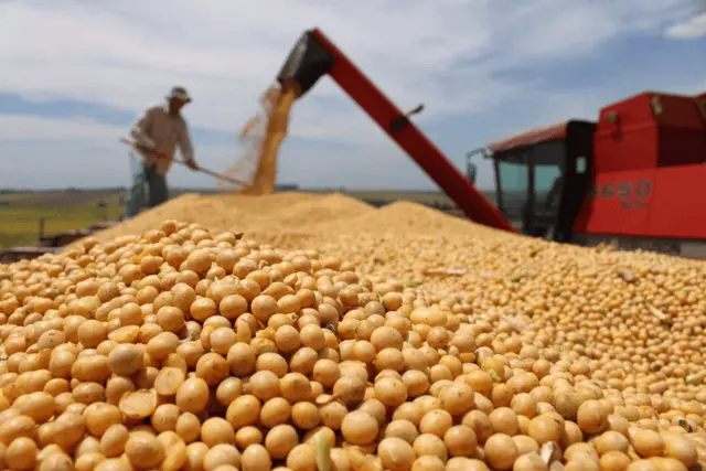 中国抢购美国黄豆，巴西发现原因不简单，正考虑收回税收新政策