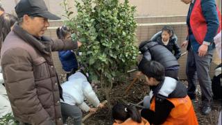 星湖社区居民积极参与植树活动