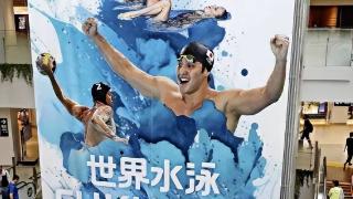 世锦赛前瞻！中国3大泳军再“合体”，目标20金，游泳难度最高