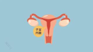 如何调理女性的子宫内膜？