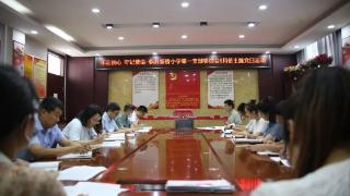 临沂新桥小学组织开展六月份主题党日活动