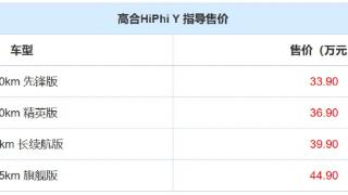 高合HiPhi Y正式上市，提供了两驱和四驱车型可选