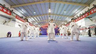 第六届文安武术节 暨全国武术之乡选拔赛开幕