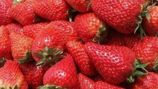 买草莓，要记住四个秘诀，才能让它们又甜又美味