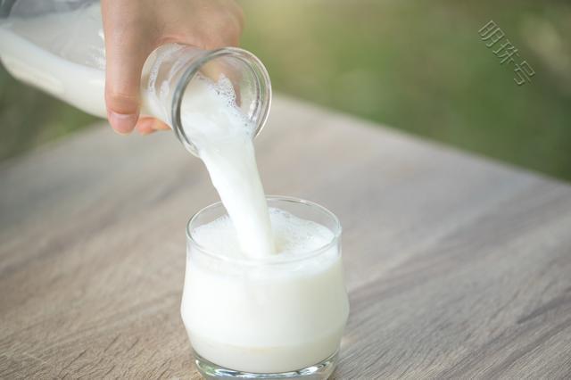 为何纯牛奶不能添加丙二醇？一文解答