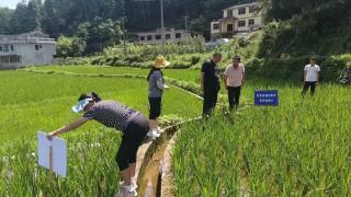 组织联建 村企联合 治理联动 ——花溪区思惹村打好党建赋能乡村振兴“组合拳”