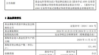 嘉实中证A500ETF联接成立 募集金额50亿元