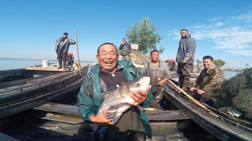 “生态宝箱”现身骆马湖