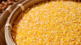 玉米碴怎么做，教你家常做法，口感醇厚好吃又营养