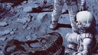 如果有一天，宇航员在月球上发现了恐龙化石，请不要惊讶