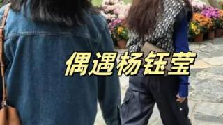 网友在扬州瘦西湖偶遇杨钰莹