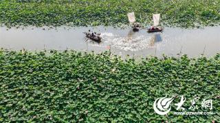 微山湖旅游区发布做好台风预警响应工作的公告