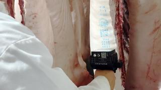 首创猪皮喷码追溯管理体系 提升猪肉产品质量安全监管水平