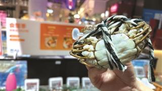今年的第一波大闸蟹已上市 有人赶着“尝鲜” 西风响，蟹脚痒，重阳节前后是吃蟹的最佳时节
