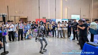从工业产线到人形智能，上海抢占机器人产业新高地