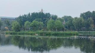 探访北京核心区的“生物多样性”公园