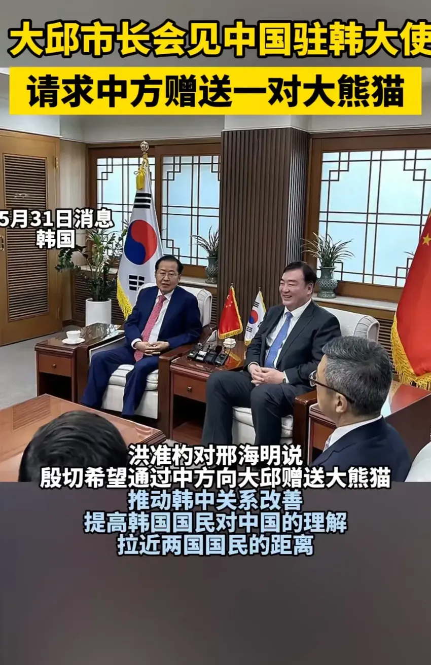 韩方市长请求中国赠送一对大熊猫，网友评论坐不住了