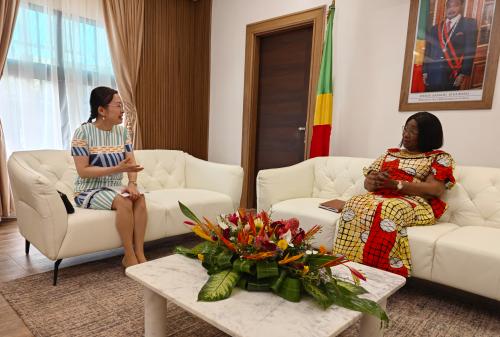 驻刚果（布）大使李岩拜会刚高等教育部长阿杜基