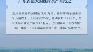 强信心 稳预期 促发展|一组海报，看广州经济“新蓝海”