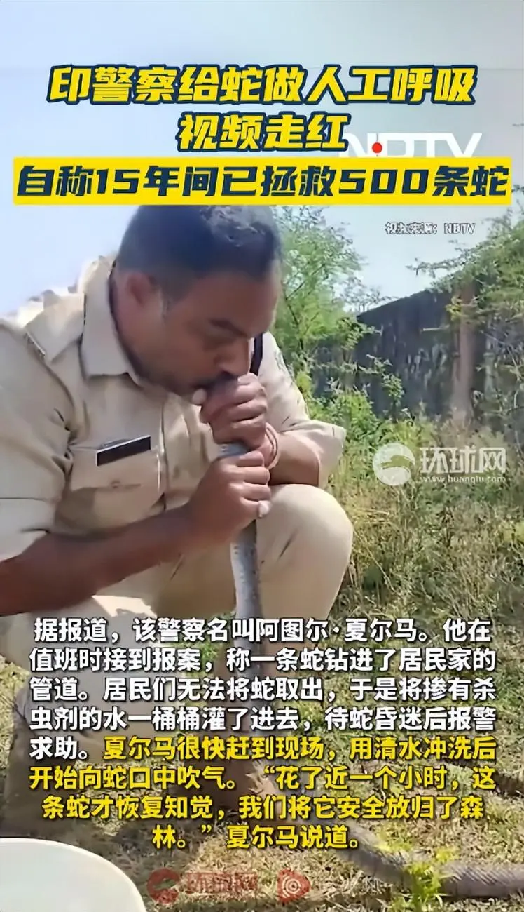 印度警察给蛇做人工呼吸走红，自称15年拯救500条蛇，当事人：花了近1小时蛇才恢复知觉，将它安全放归森林
