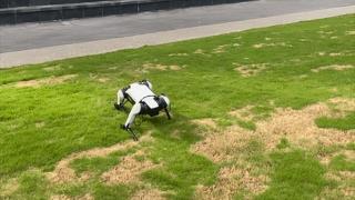国产机器人最新突破，这次用上AI了！