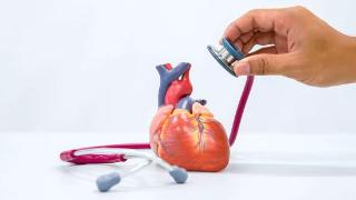 限制性心肌病，心肌病中最罕见的类型，其诊治手段有哪些呢？