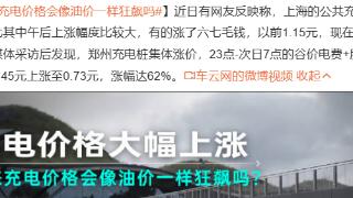 电价大幅上涨直追油价，“电动爹”还行不行？