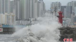 台风“卡努”登陆韩国：数百航班取消，逾万人撤离