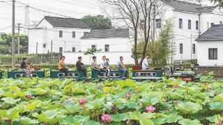 鼓起农民钱袋子，拓宽全域共富路