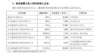 东方鑫源集团入主重庆丰华股份后将有大动作